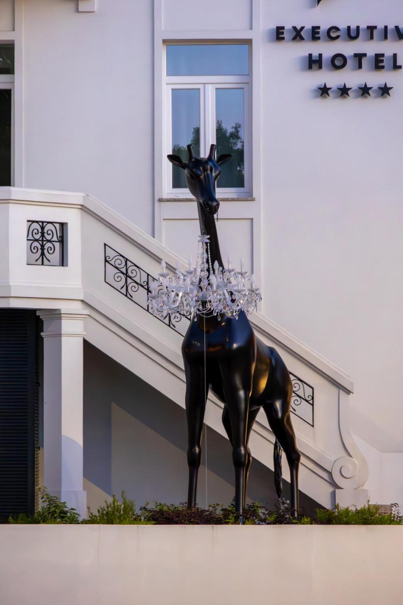 Viseu Executive Hotel Exterior photo